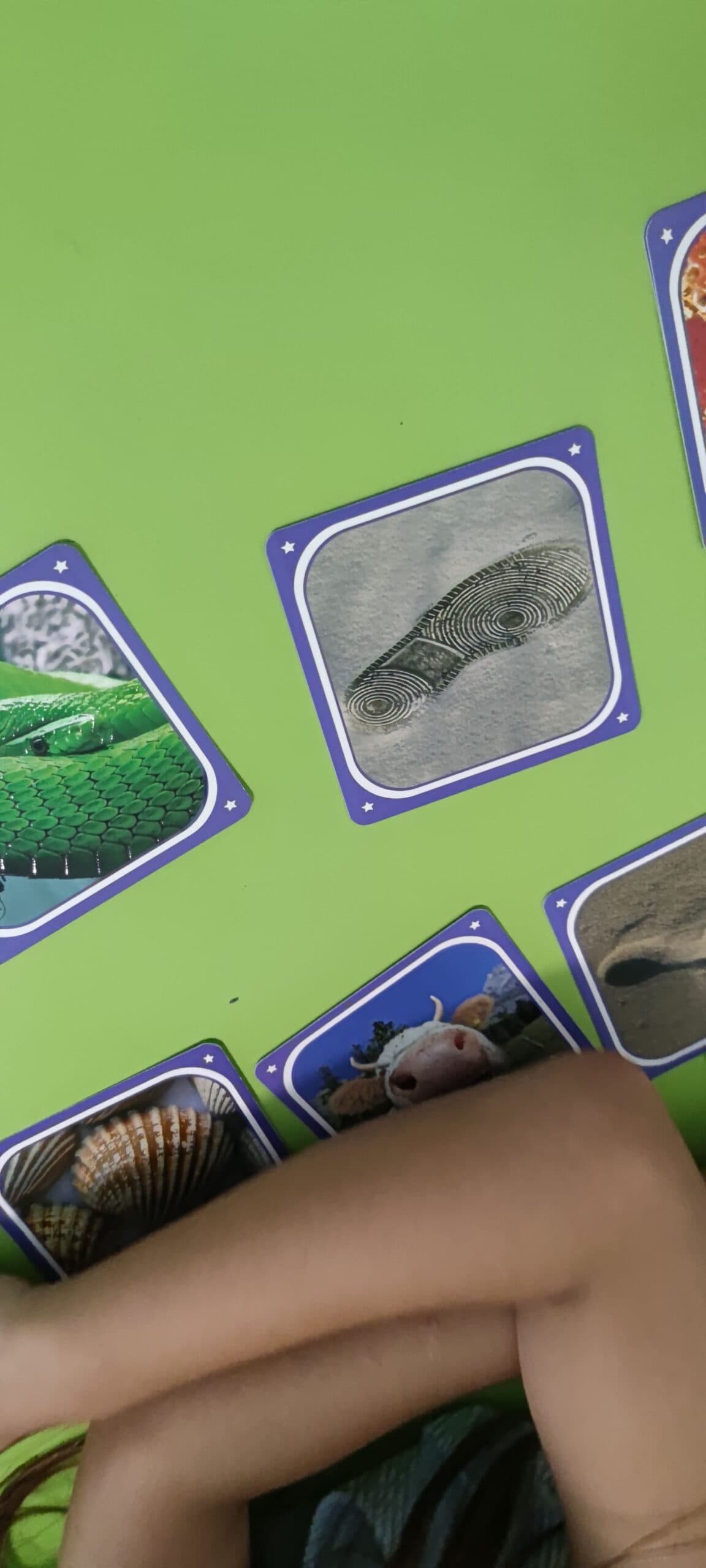 Img 20210624 183403 Scaled