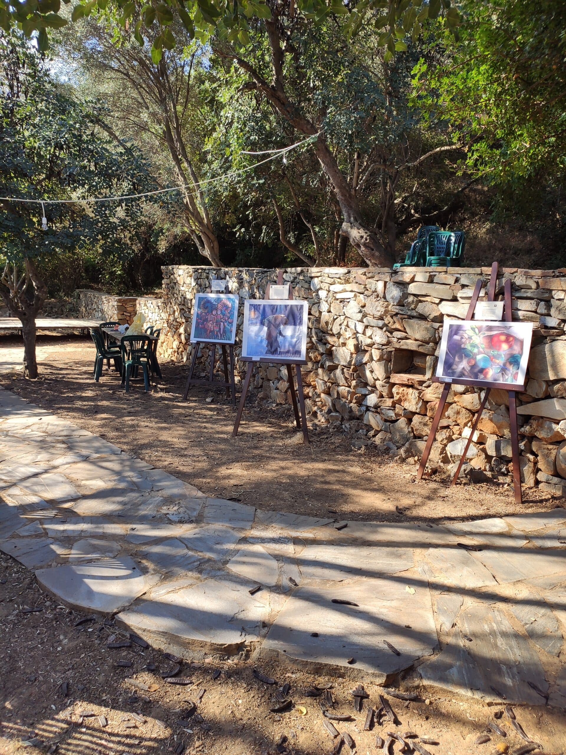 Img 20200822 093319 Scaled