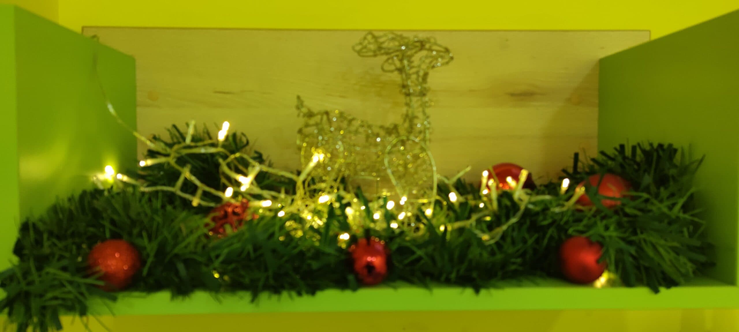 Img 20211118 140139 Scaled