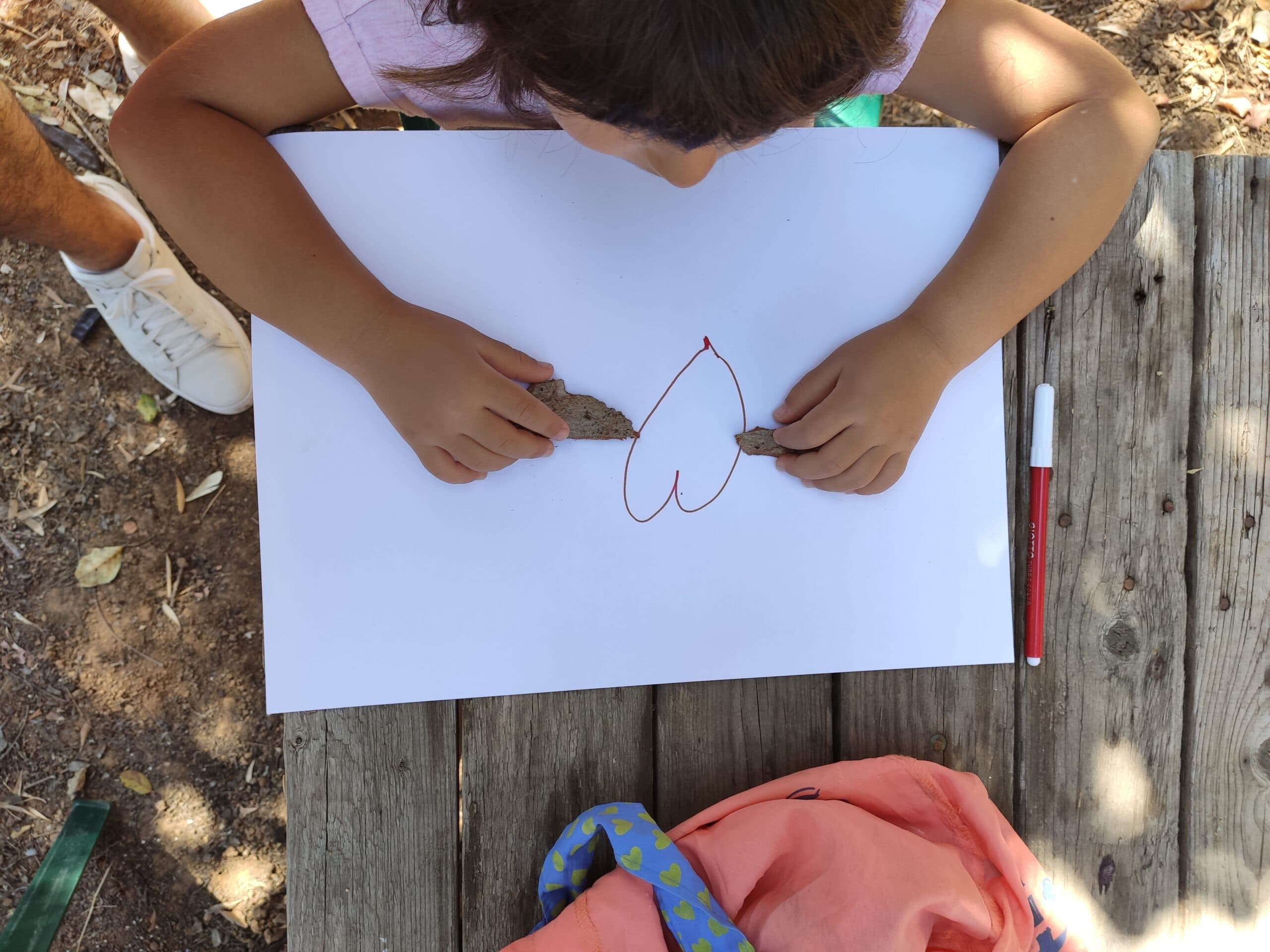 Img 20200822 103535 Scaled