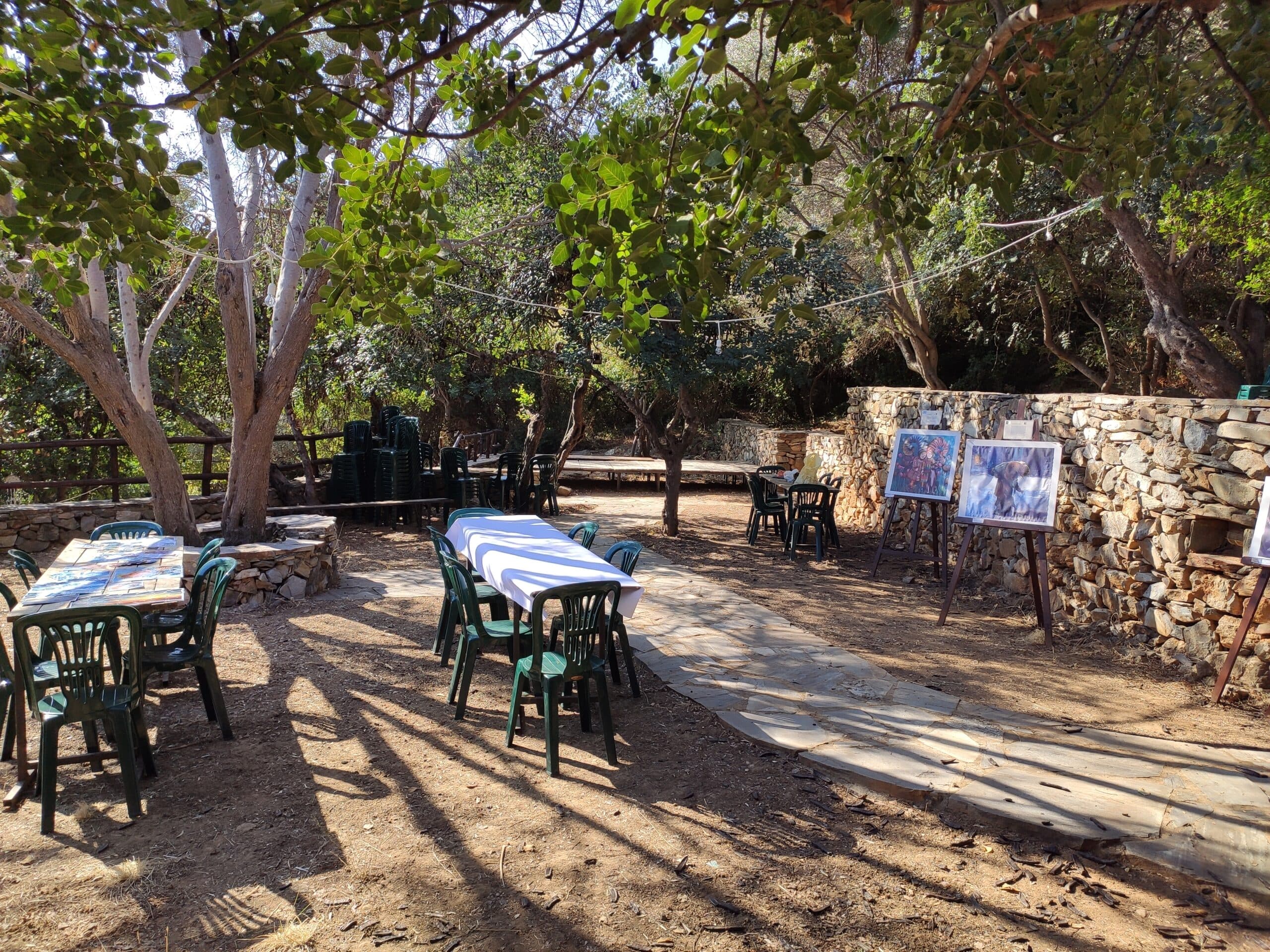 Img 20200822 093941 Scaled