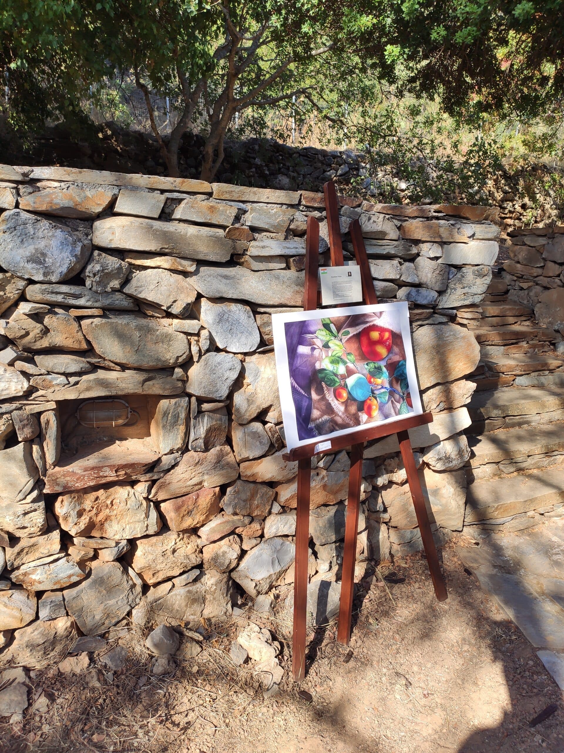 Img 20200822 093925 Scaled