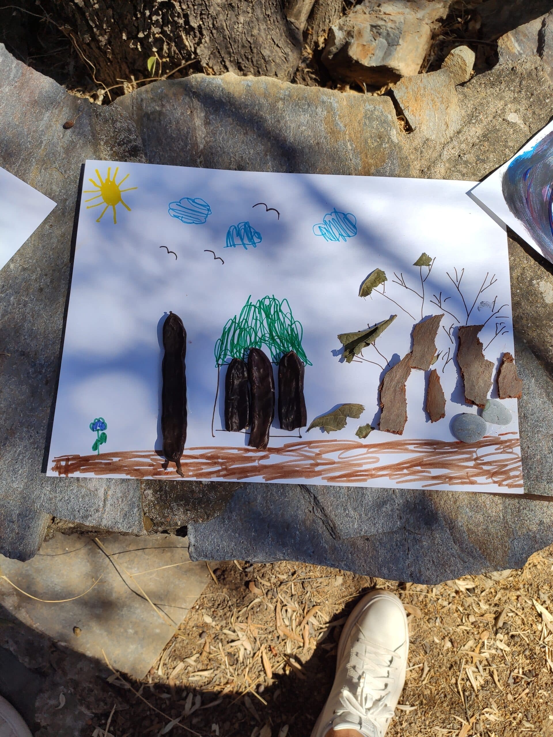 Img 20200822 110805 Scaled