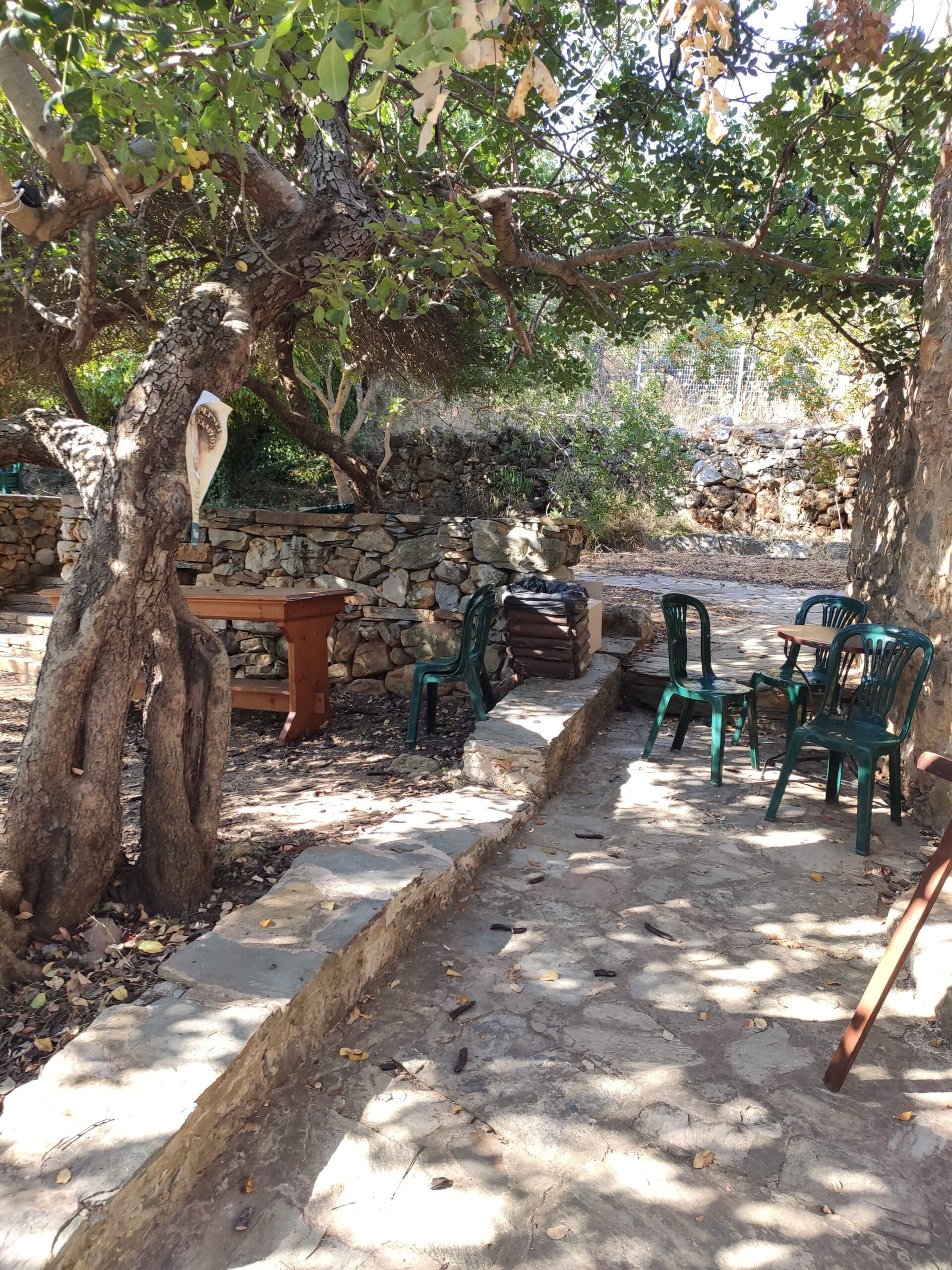 Img 20200822 093223 Scaled