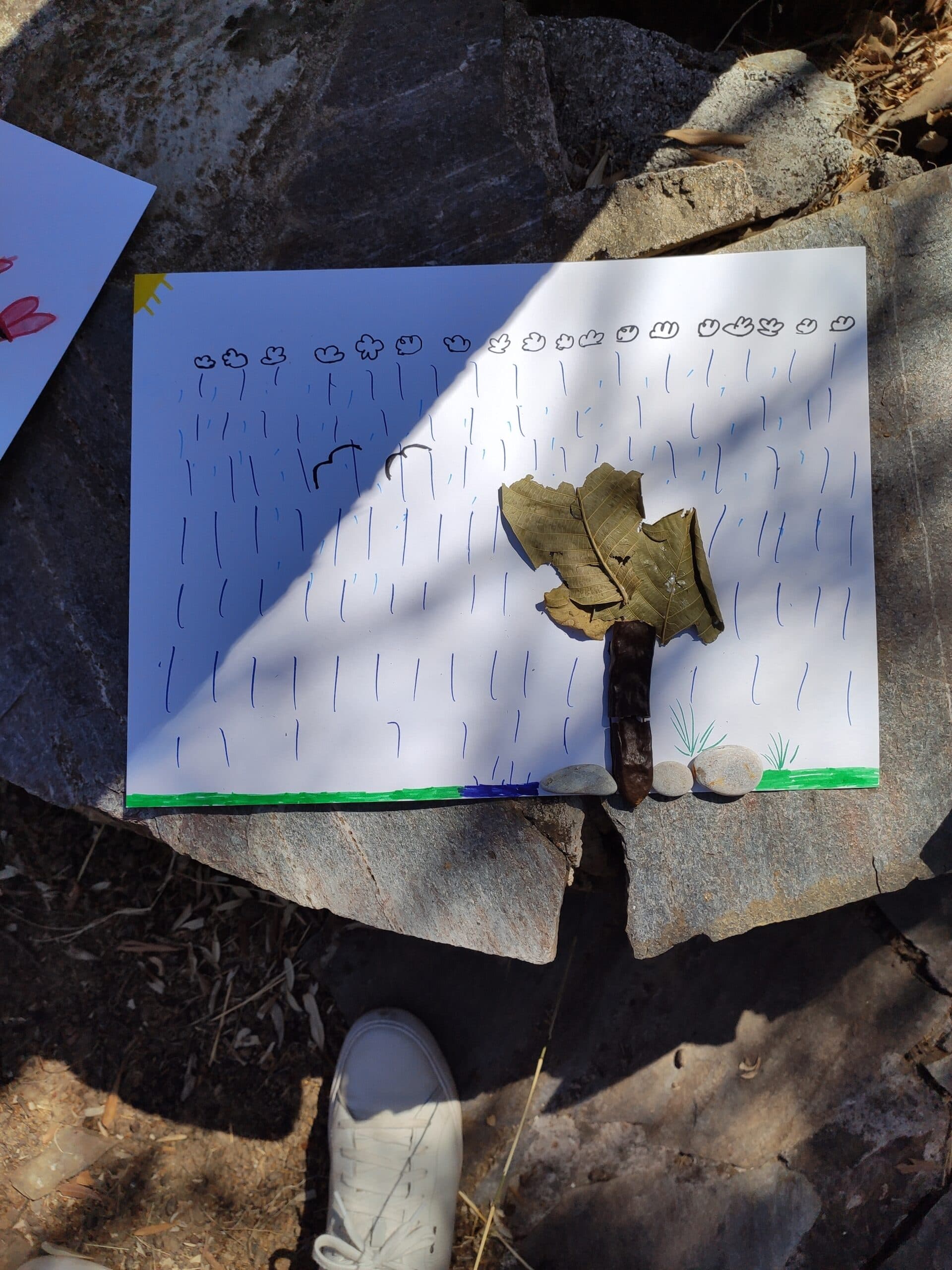 Img 20200822 110818 Scaled