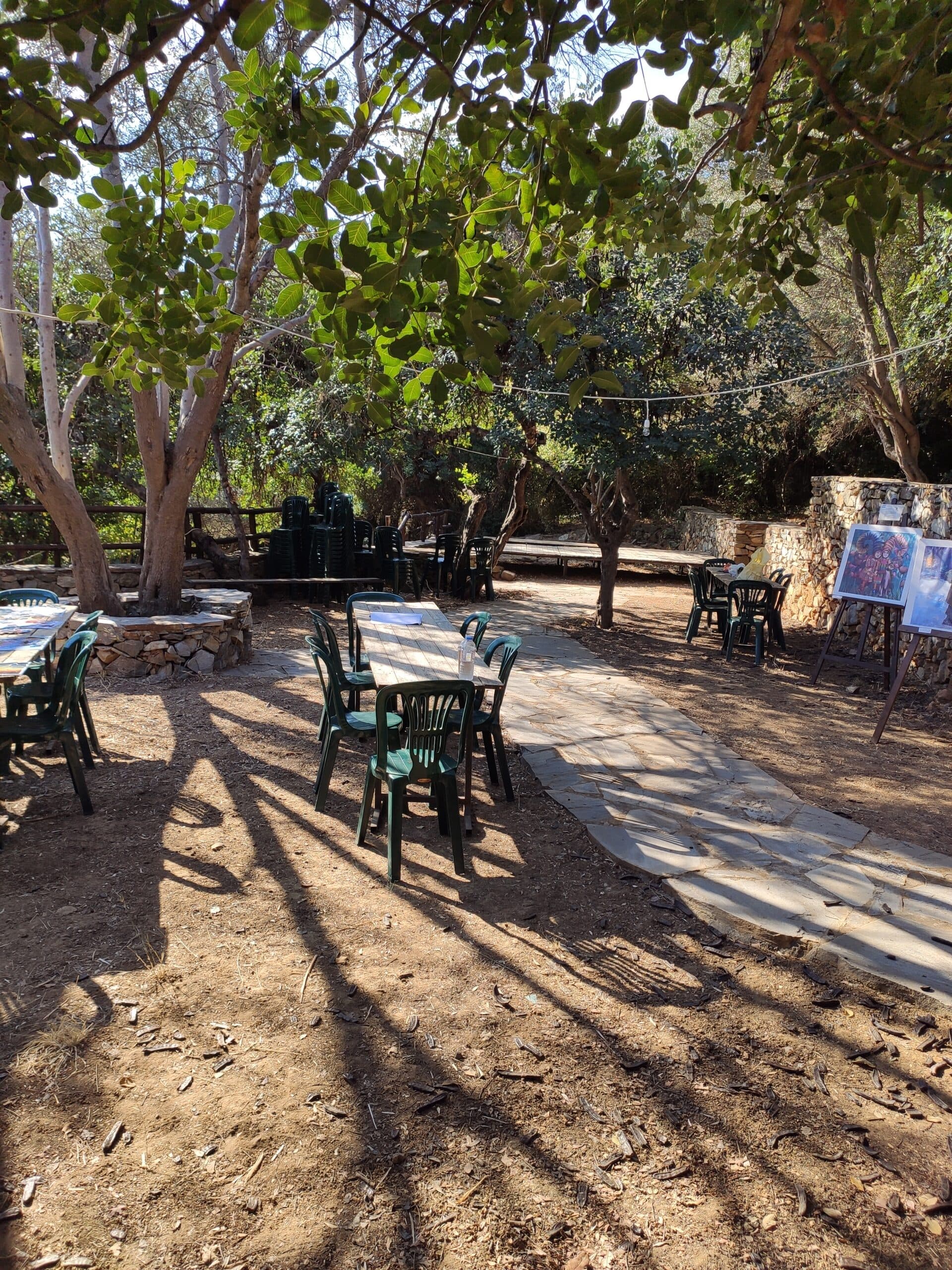 Img 20200822 093235 Scaled