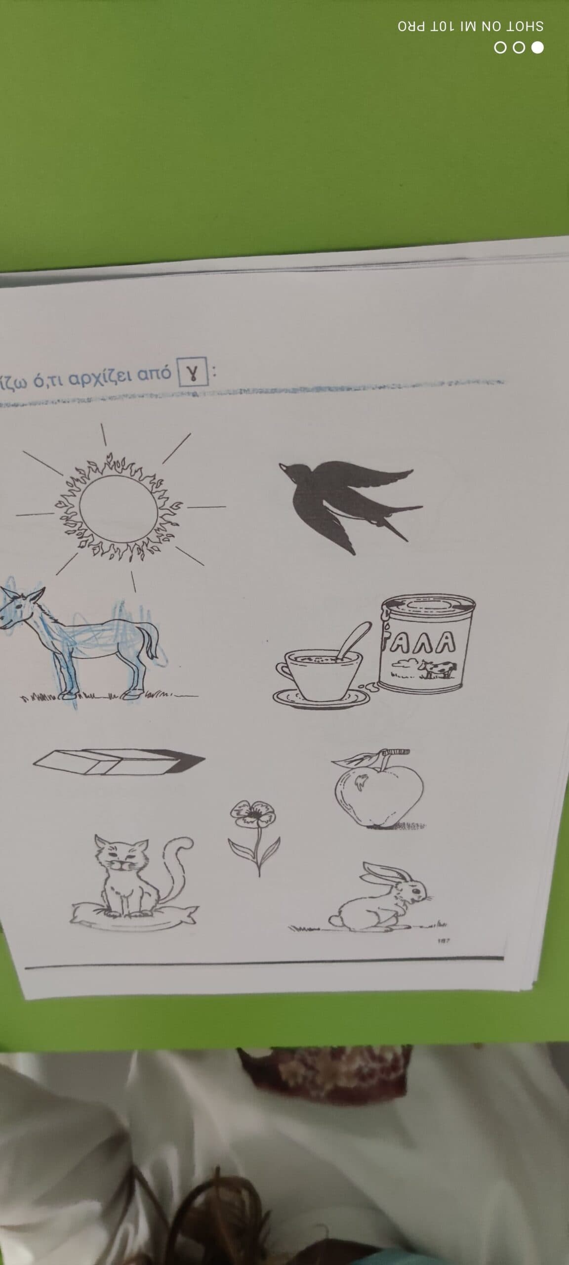 Img 20210213 112416 Copy Scaled