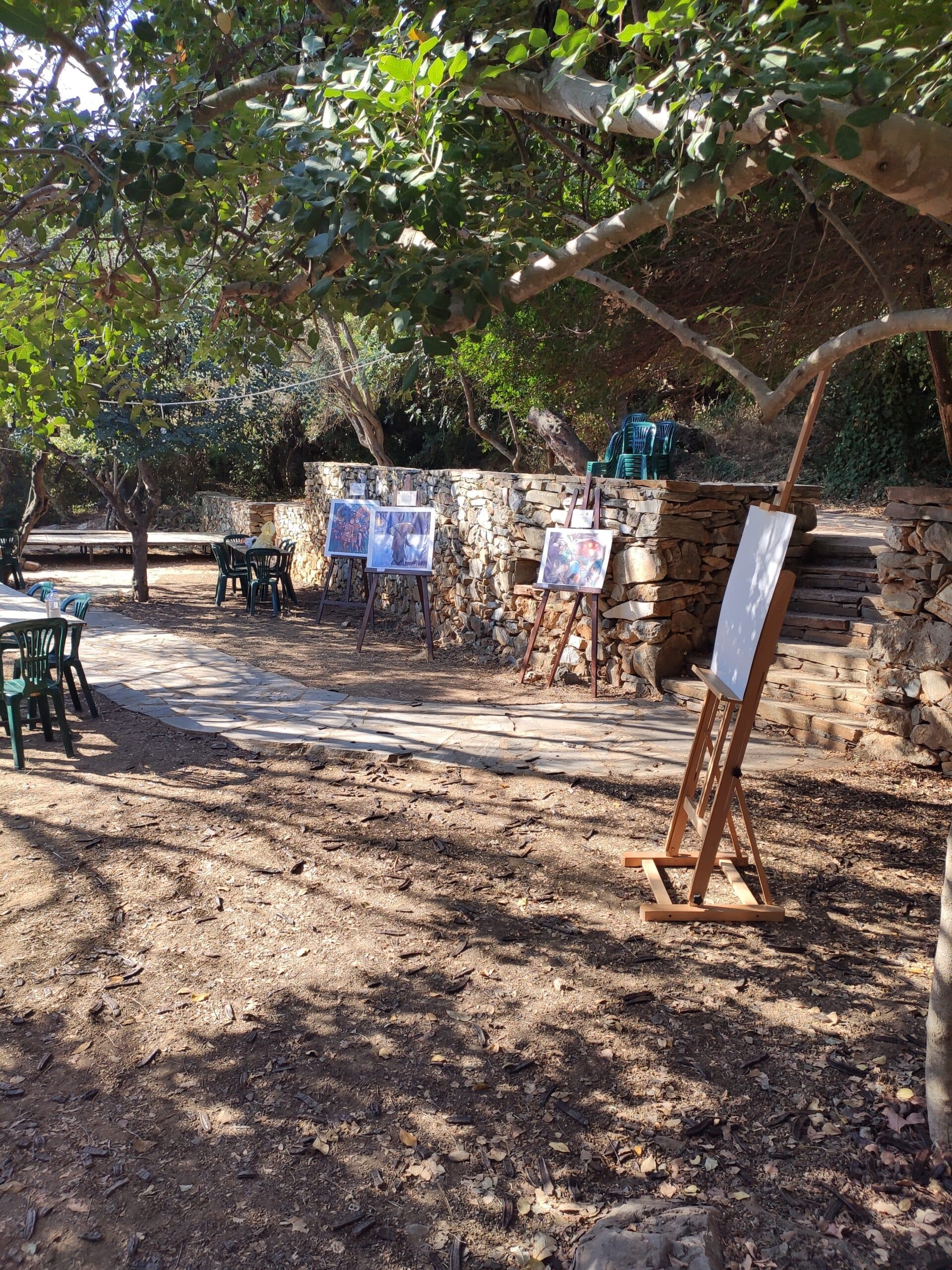 Img 20200822 093228 Scaled