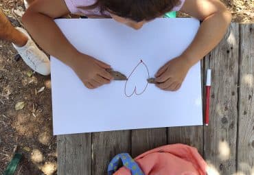 Ειδική Διαπαιδαγώγηση - φωτογραφία 2