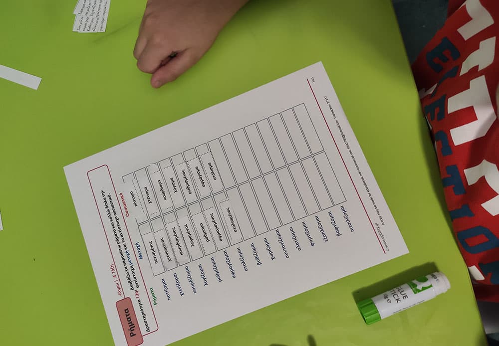 Ειδική Διαπαιδαγώγηση - φωτογραφία 1